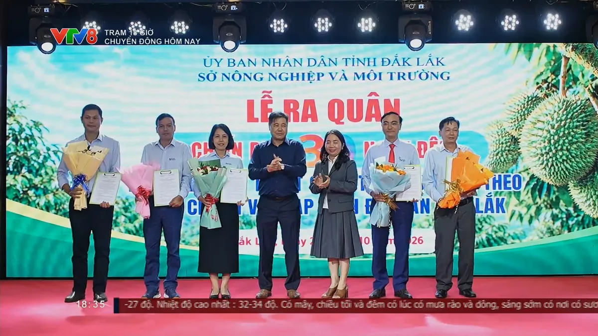Đắk Lắk: Tổng lực hướng dẫn canh tác sầu riêng đạt chuẩn VietGAP- Ảnh 5. Đắk Lắk: Tổng lực hướng dẫn canh tác sầu riêng đạt chuẩn VietGAP- Ảnh 5.