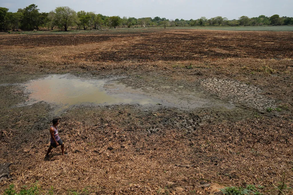 Cảnh báo khả năng El Nino mạnh vượt mọi kỷ lục- Ảnh 1.