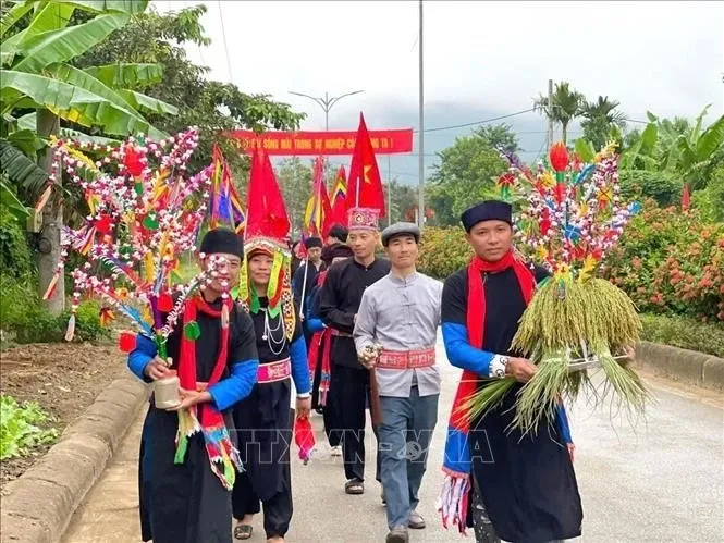 Một trong những lễ vật dâng cúng không thể thiếu là những bông lúa mới. Ảnh tư liệu, minh hoạ: TTXVN phát