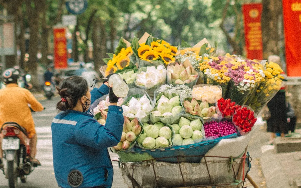 Sức hút của Việt Nam trong mùa thu đến từ sự kết hợp giữa nhịp sống đô thị, cảnh quan thiên nhiên và những giá trị văn hóa đặc trưng. Ảnh: Mỹ Linh
