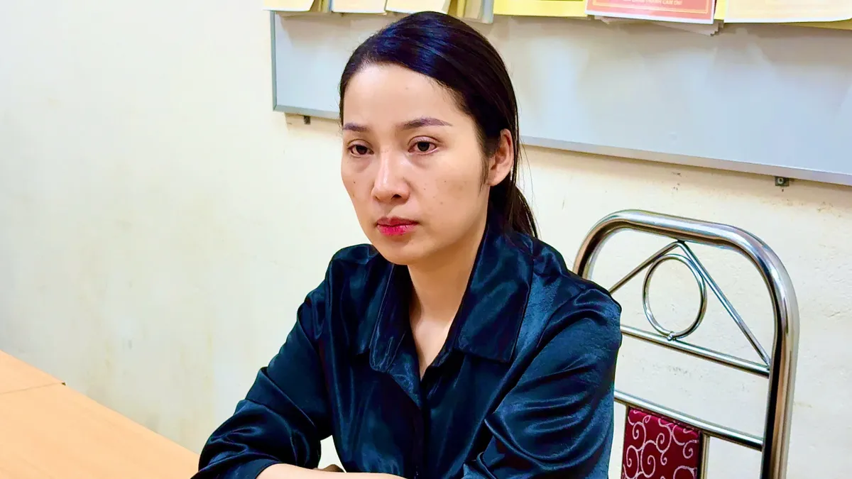 Khởi tố nữ tài xế ô tô tăng ga bỏ chạy khi đang làm việc với CSGT - Ảnh 3.