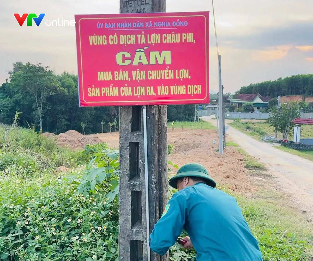 Xuất hiện h&agrave;ng chục ổ dịch, Nghệ An chấn chỉnh c&ocirc;ng t&aacute;c ph&ograve;ng chống bệnh dịch tả lợn Ch&acirc;u Phi - Ảnh 1.