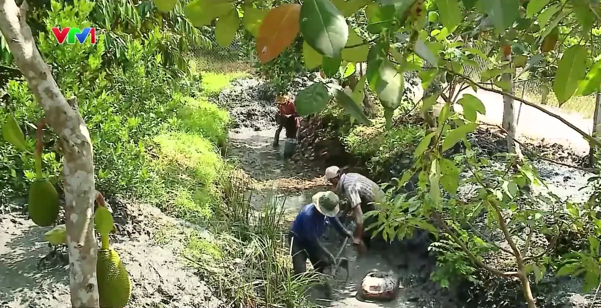 Chủ động ứng phó với hiện tượng El Nino tại các tỉnh Đồng bằng sông Cửu Long - Ảnh 1.