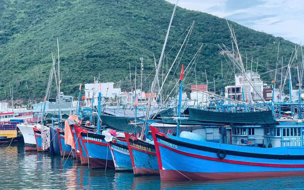 Khánh Hòa yêu cầu xử lý dứt điểm hồ sơ giải bản tàu cá trong tháng 10, đồng thời siết kiểm soát tàu không đủ điều kiện hoạt động nhằm chống khai thác IUU.Ảnh: Đặng Hiếu
