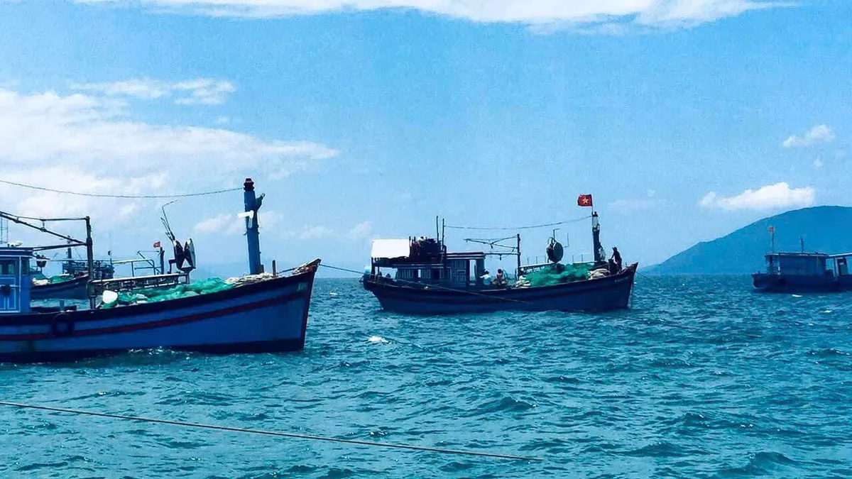 Khánh Hòa siết quản lý tàu cá, xử lý dứt điểm hồ sơ giải bản trong tháng 10 - Ảnh 1.