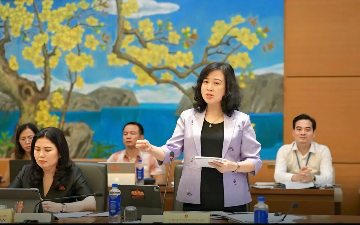 Bộ trưởng Bộ Y tế Đào Hồng Lan phát biểu tại phiên thảo luận.