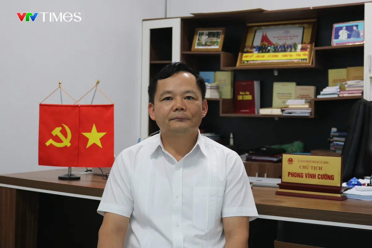 Hồi sinh B&aacute;ch xanh n&uacute;i đ&aacute; ở Lai Ch&acirc;u - Ảnh 9.