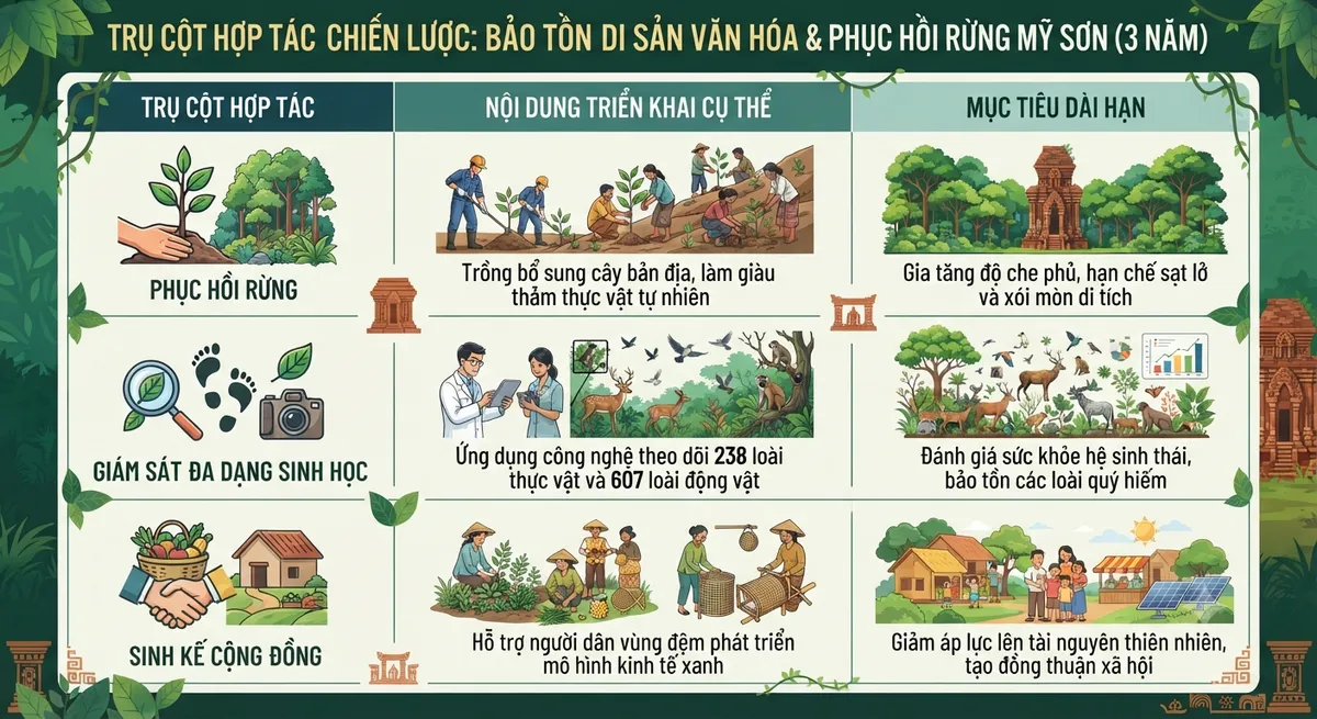 Bảo tồn di sản Mỹ Sơn từ phục hồi rừng: Nối dài sức sống cho di sản- Ảnh 2. Bảo tồn di sản Mỹ Sơn từ phục hồi rừng: Nối dài sức sống cho di sản- Ảnh 2.
