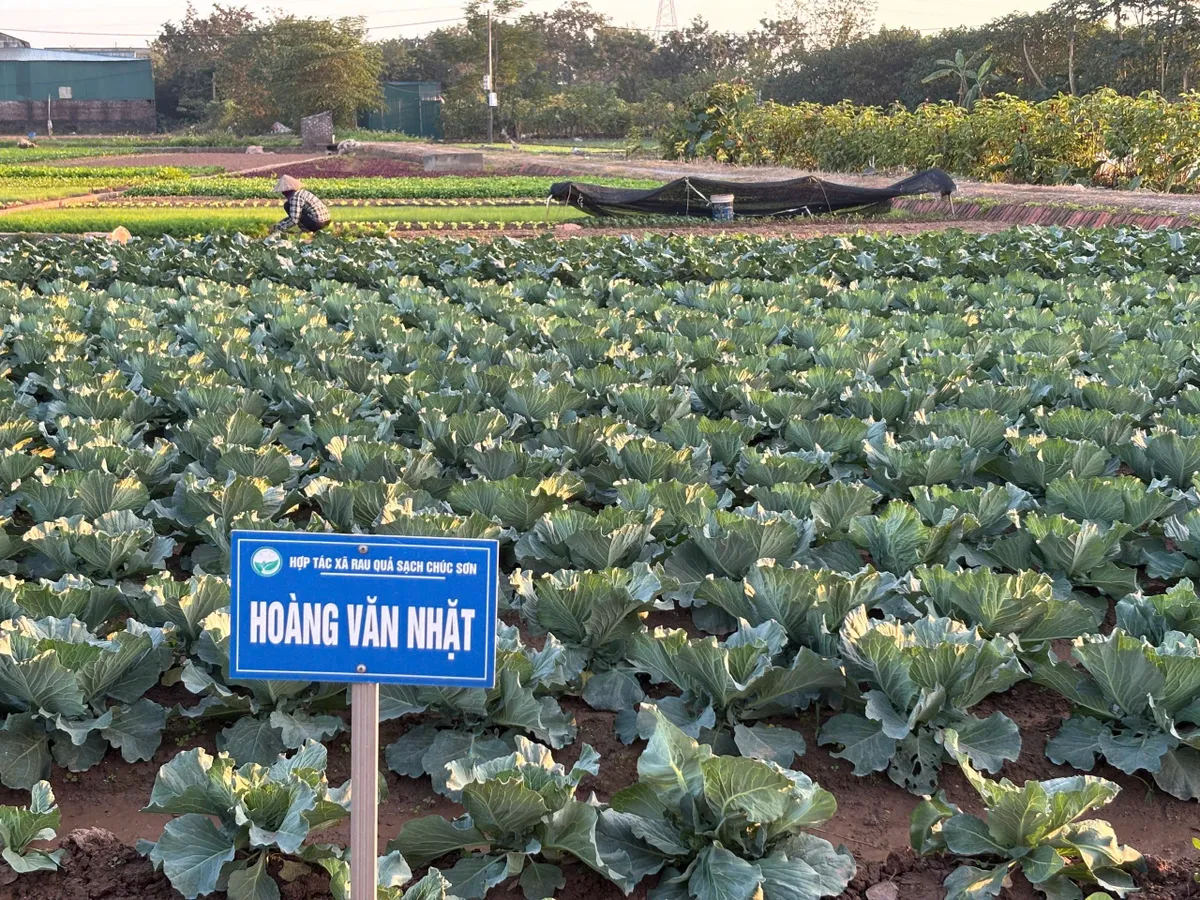 Ứng dụng công nghệ số, nâng tầm nông sản Thủ đô - Ảnh 1.