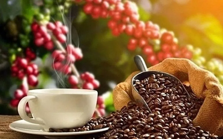 Giá cà phê giảm mạnh - Ảnh minh họa