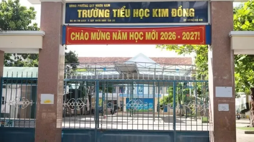 Vụ 3 hiệu trưởng ở Gia Lai: Đề nghị bố trí làm phó hiệu trưởng- Ảnh 2.
