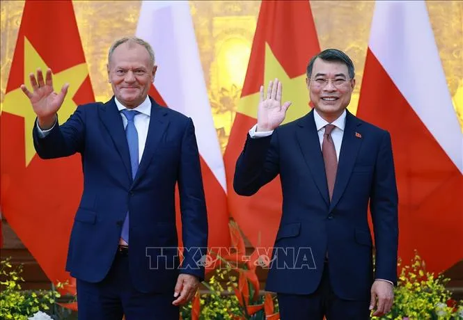 Thủ tướng Lê Minh Hưng hội đàm với Thủ tướng Ba Lan - Ảnh 1.