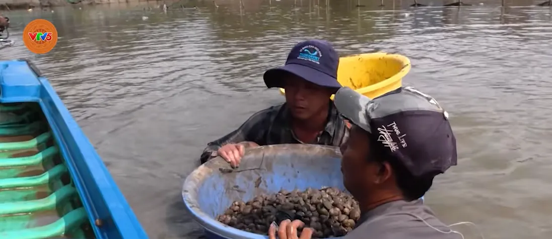 Nu&ocirc;i s&ograve; huyết &ldquo;một vốn bốn lời&rdquo;  - Ảnh 1.