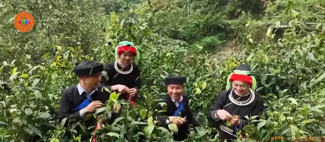 Tuyên Quang hỗ trợ sinh kế cho đồng bào dân tộc thiểu số - Ảnh 2.