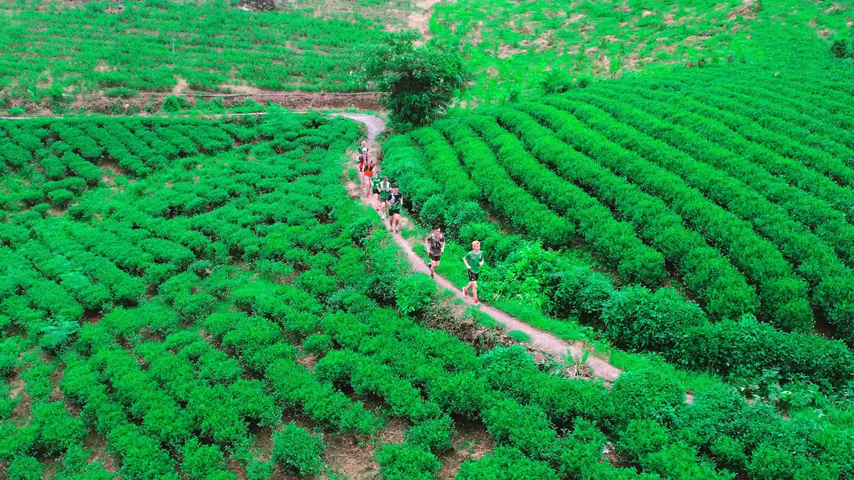 L&agrave;m mới c&aacute;ch quảng b&aacute; xứ tr&agrave; qua Th&aacute;i Nguy&ecirc;n Trail 2026- Ảnh 3.
