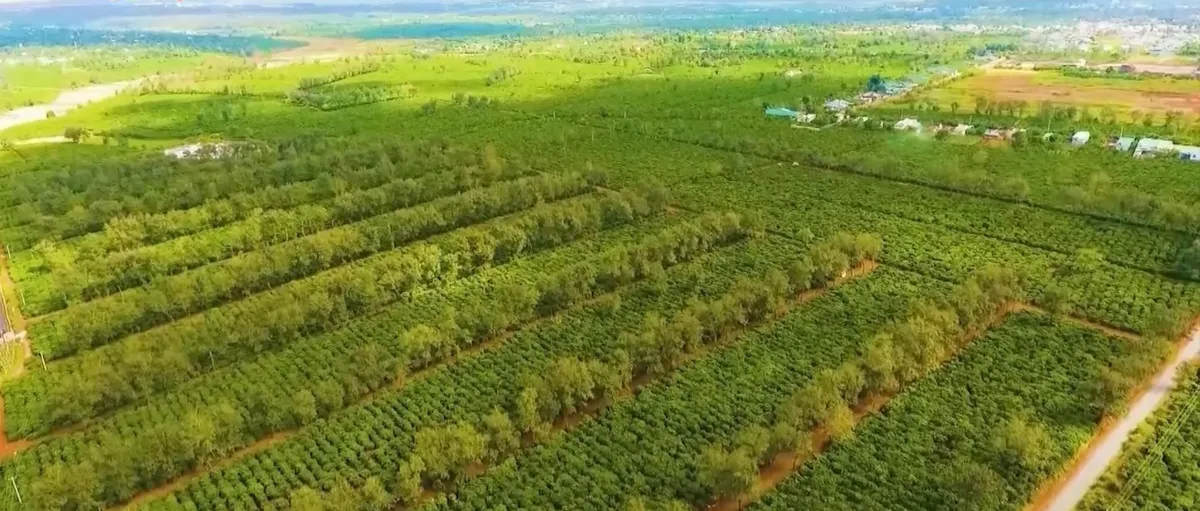 Thế hệ trẻ lan tỏa văn h&oacute;a c&agrave; ph&ecirc; Việt- Ảnh 1.