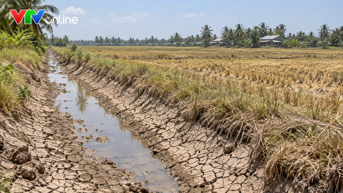 El Nino rất mạnh k&eacute;o d&agrave;i, thời tiết đầu năm 2027 sẽ ra sao? - Ảnh 2.