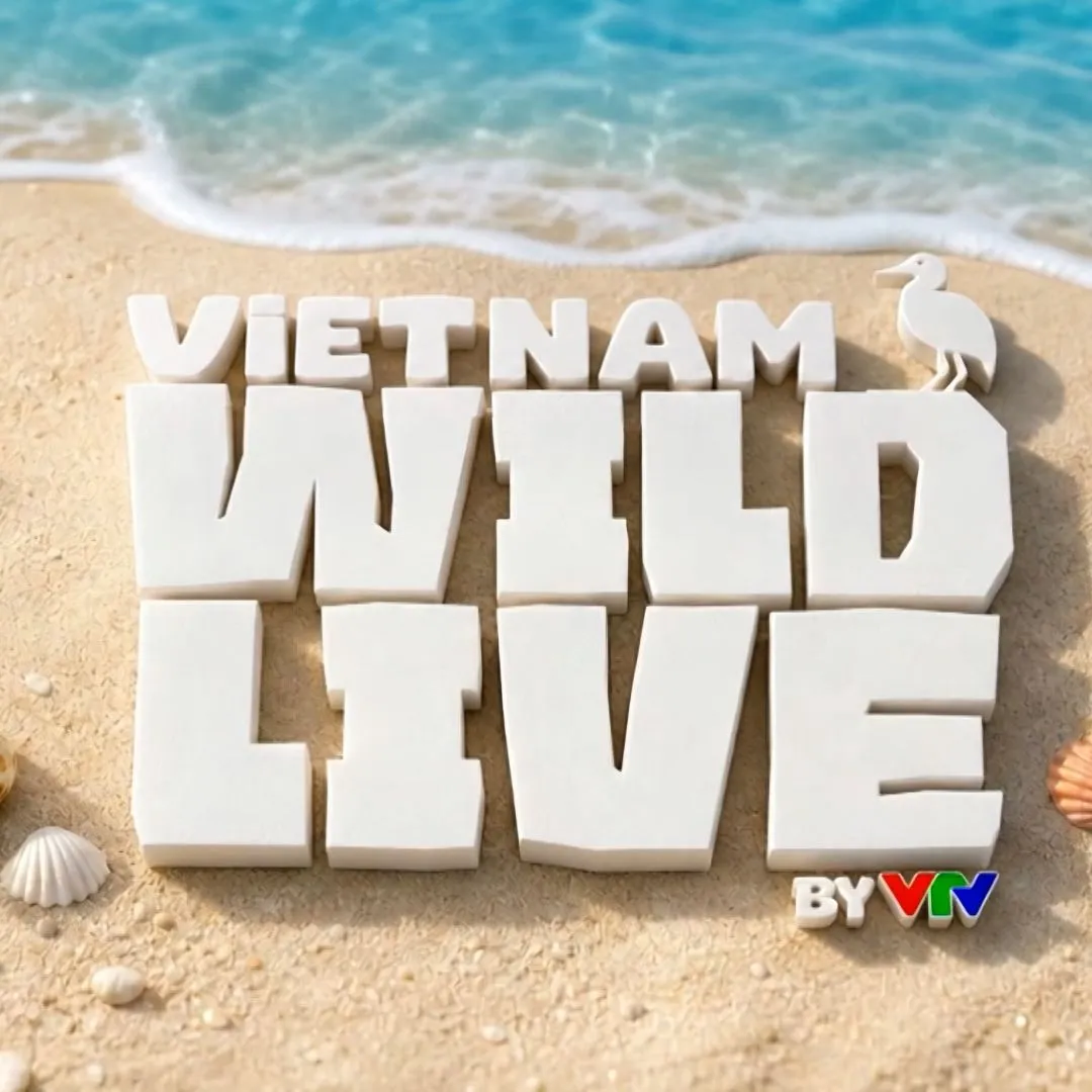Vietnam Wild Live is a reality show capturing sea turtles, birds, coral reefs, and ocean life in Côn Đảo National Park. The live broadcast features live commentary and reporting by experts, journalists and photographers, as well as engaging discussions with forest rangers. It aims to help domestic a