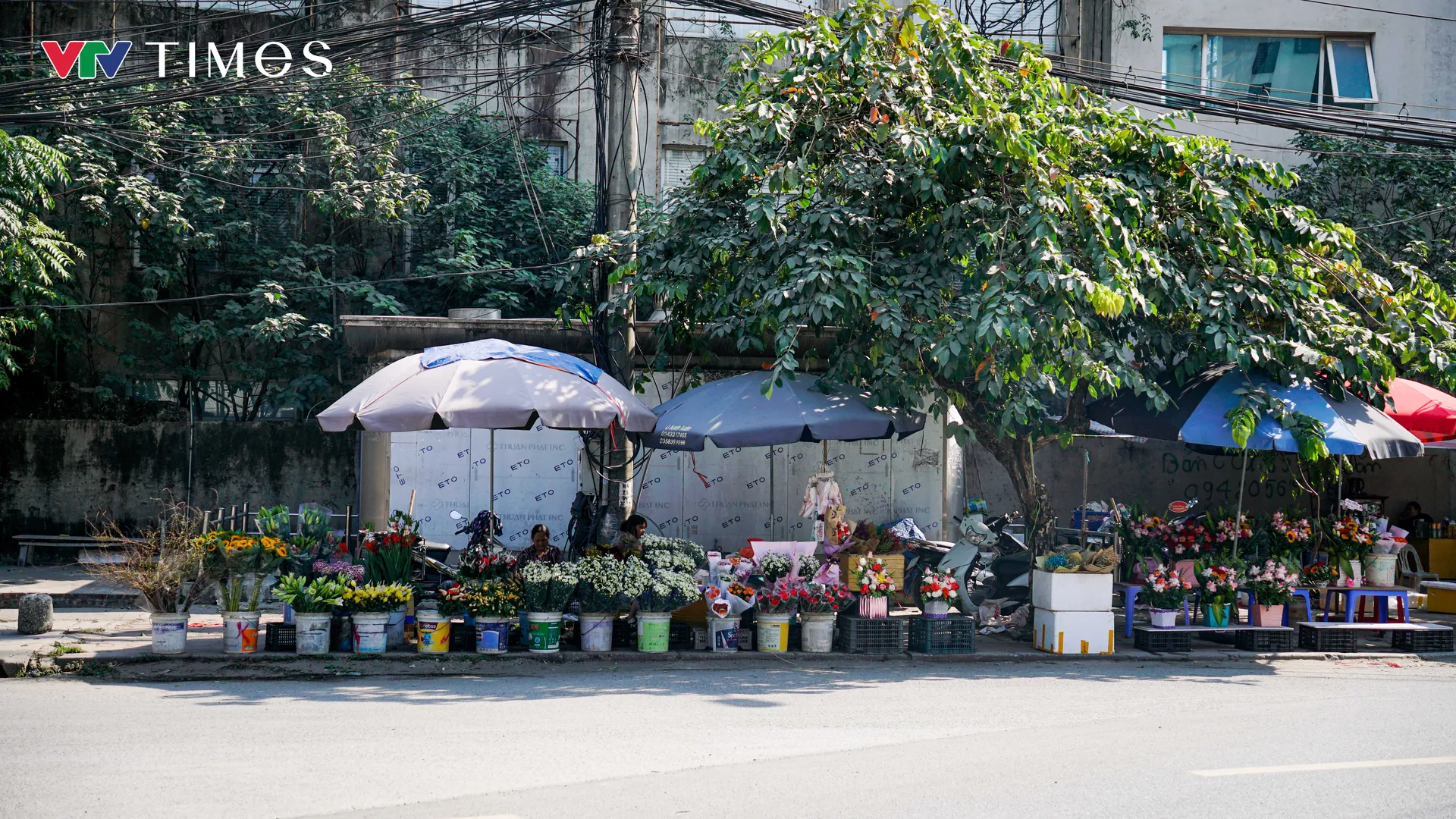 Hà Nội: Giá hoa tươi tăng không đáng kể trong ngày Nhà giáo Việt Nam - Ảnh 2.