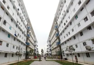 Người độc thân thu nhập bao nhiêu được mua nhà ở xã hội?
