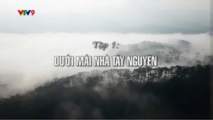 Dưới tán cây rừng (tập 1)