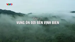 Dưới tán cây rừng (tập 2)