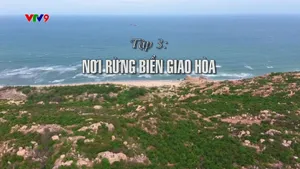 Dưới tán cây rừng (tập 3)