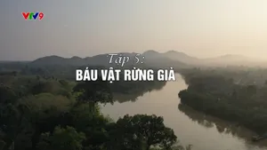 Dưới tán cây rừng (tập 5)