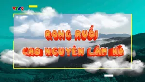 Rong ruổi phương nam - Mùa 2_Rong ruổi cao nguyên Lâm Hà