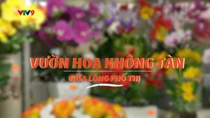 Góc Nhỏ Sài Gòn - Mùa 1 (tập 50)