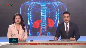 Thời sự: Toàn cảnh 24h (05/06/2024)