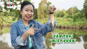 Điểm Đến Cuối Tuần: Cắm trại "miệt vườn"