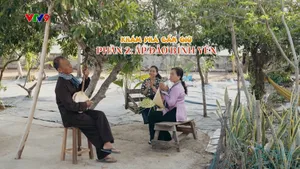 Điểm Đến Cuối Tuần: Khám phá Cần Giờ - Ấp đảo bình yên