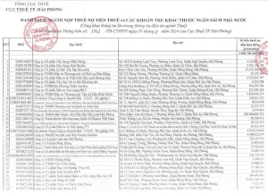 Công ty Dầu khí Hải Linh Hải Phòng nợ tiền thuế hơn 208 tỷ đồng