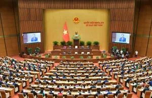 Quốc hội thông qua Luật Thuế GTGT (sửa đổi): Phân bón và máy nông nghiệp chịu thuế suất 5%