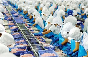 Việt Nam tự tin đạt kim ngạch xuất khẩu thủy hải sản 10 tỷ USD