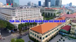 Cà phê tử tế - Mùa 3 (tập 106)