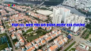Cà phê tử tế - Mùa 3 (tập 115)