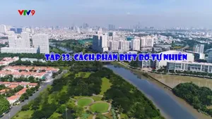 Cà phê tử tế - Mùa 3 (tập 33)