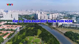 Cà phê tử tế - Mùa 3 (tập 45)