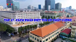 Cà phê tử tế - Mùa 3 (tập 47)