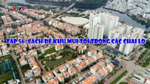 Cà phê tử tế - Mùa 3 (tập 56)