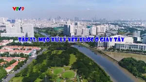 Cà phê tử tế - Mùa 3 (tập 73)