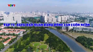 Cà phê tử tế - Mùa 3 (tập 78)