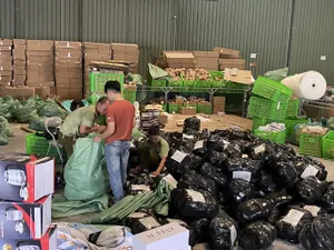 Cuộc chiến chống hàng giả, hàng nhái dịp Tết: Thách thức và giải pháp