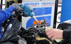 Giá xăng dầu hôm nay 12/12/2024: Tăng nhẹ do tác động từ các lệnh trừng phạt mới