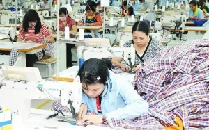 Dệt may Việt Nam hướng tới mục tiêu xuất khẩu 48 tỷ USD vào năm 2025