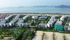 “Bắt mạch” thị trường bất động sản 2025: Phân khúc nào sẽ “chiếm lĩnh”?