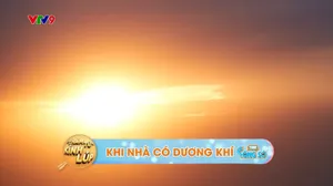 Tám Công Sở_Thám Tử Kính Lúp (tập 294)