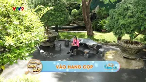 Tám Công Sở_Thám Tử Kính Lúp (tập 320)